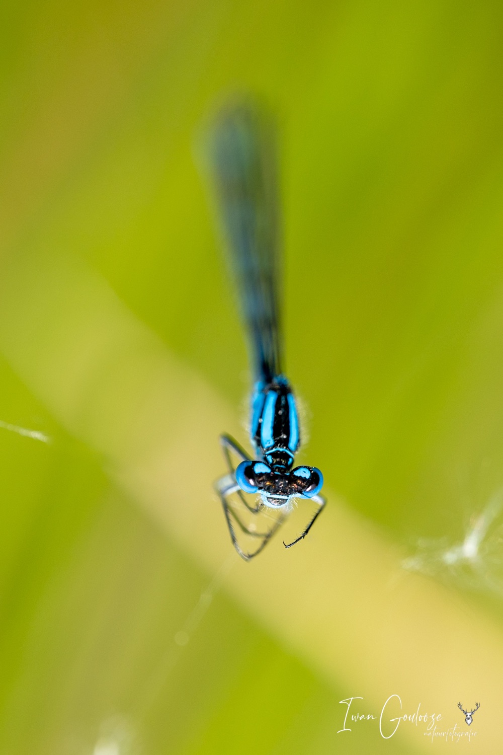 29 mei 2023 151727  R2A3341